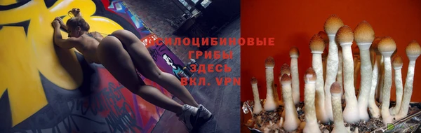 кристаллы Нягань