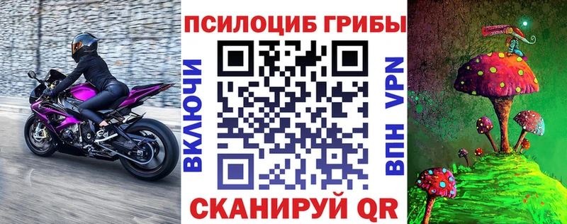 купить  сайты  Челябинск  Псилоцибиновые грибы мухоморы 